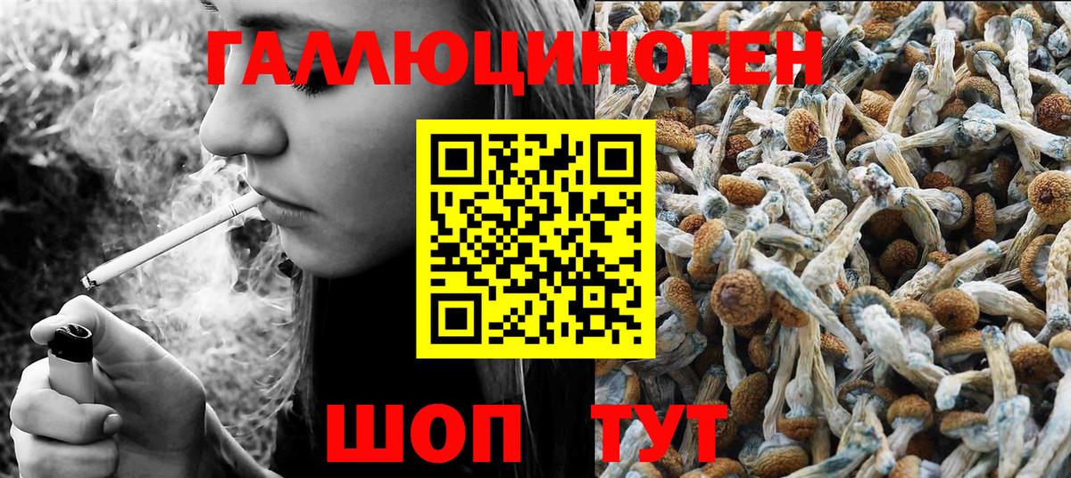 где купить наркоту  Галлюциногенные грибы Cubensis  Вход с VPN  Ликино-Дулёво 
